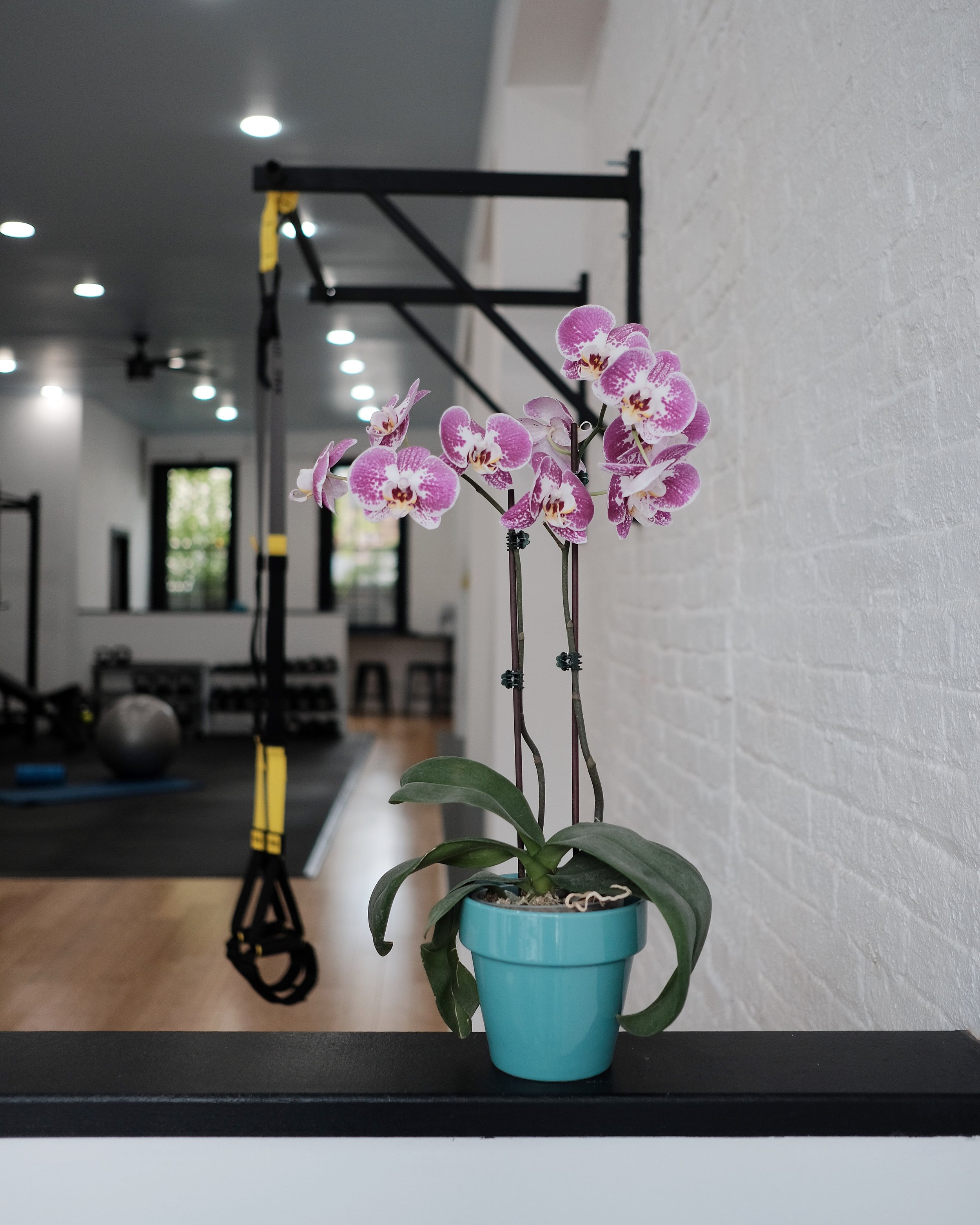 1.2.1 Fitness studio
